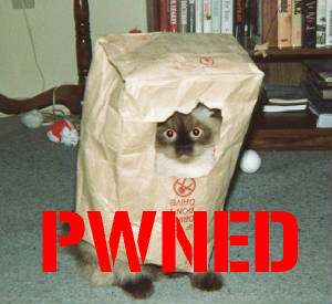 pwned_cat1.jpg.w300h275.jpg